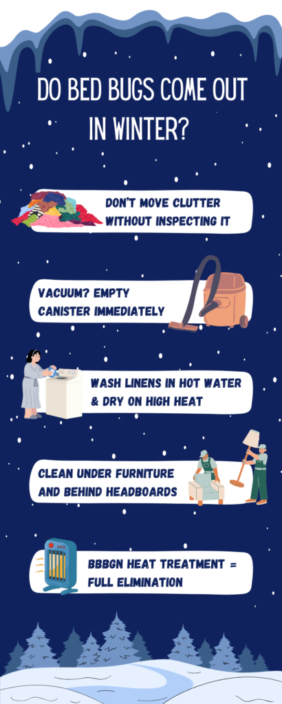 Do Bed Bugs Come Out in Winter - Infographic