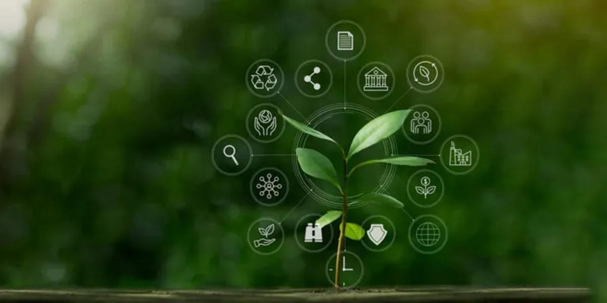 Safety and Environmental Impact