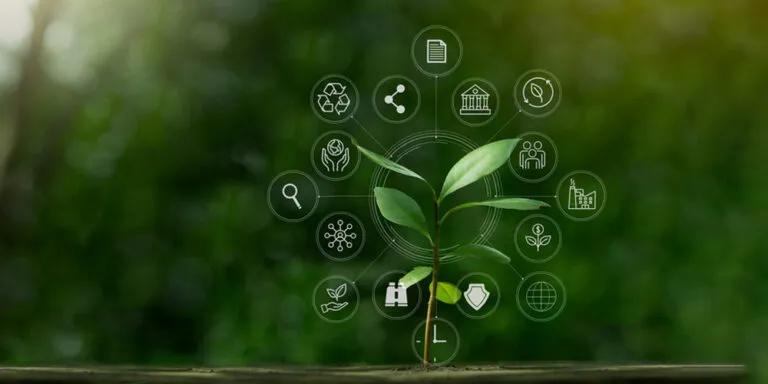 Safety and Environmental Impact