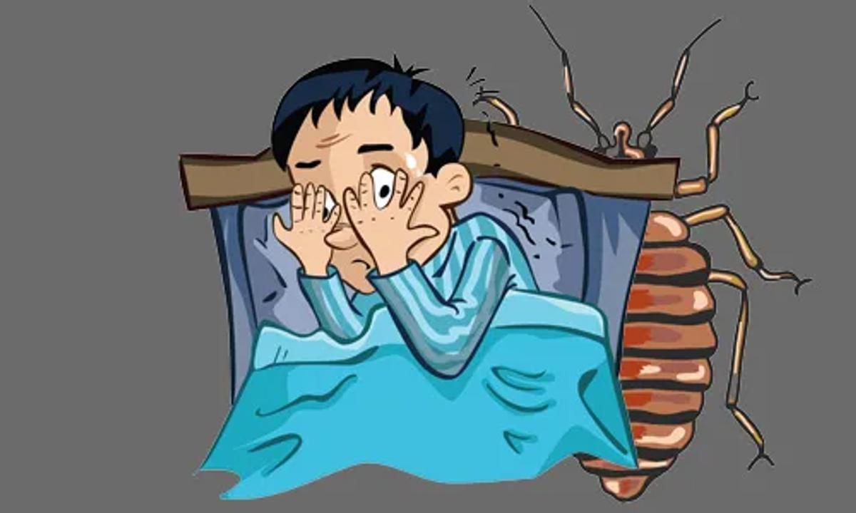 Heat Treatment Readiness Guide for Bed Bugs