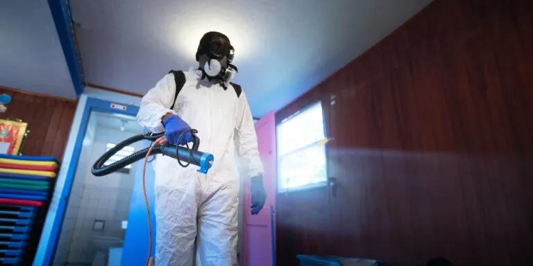 Chemical Victory Over Bed Bugs!