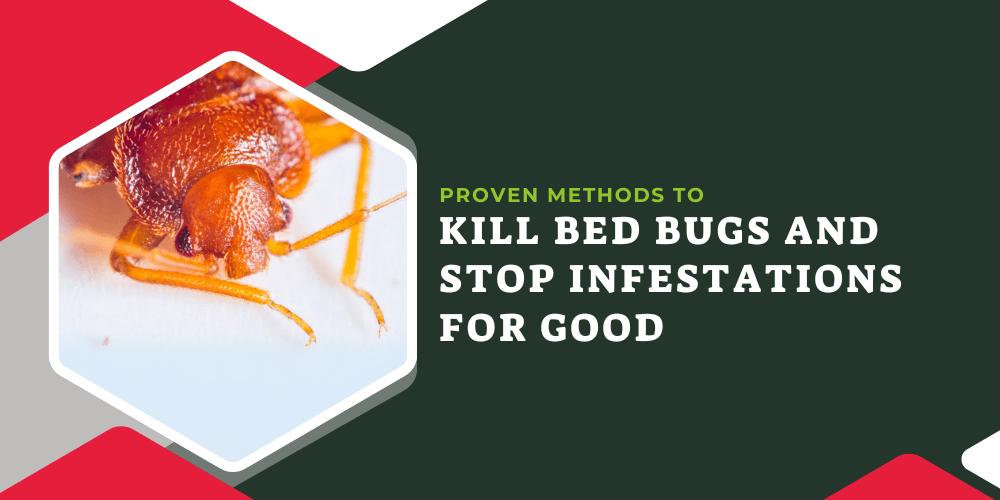 1-Proven-Methods-to-Kill-Bed-Bugs-and-Stop-Infestations-for-Good
