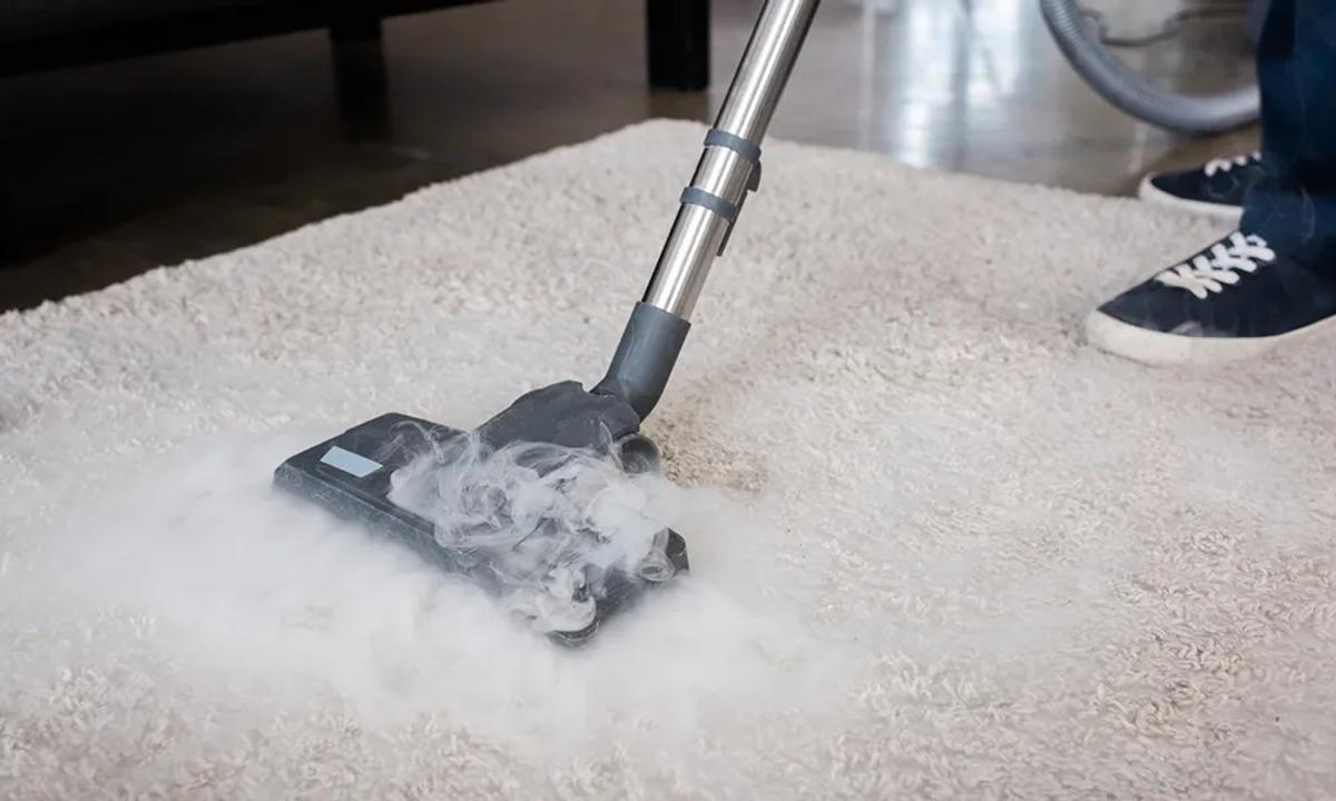 Can-I-get-rid-of-bed-bugs-in-my