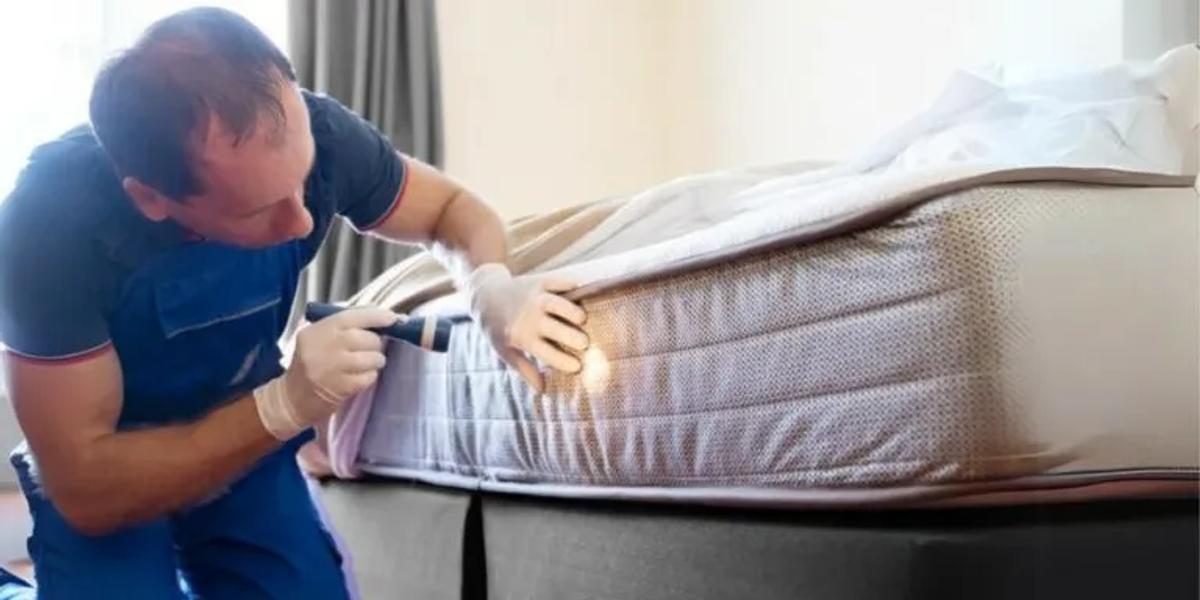 Choosing the Right Pest Control Service