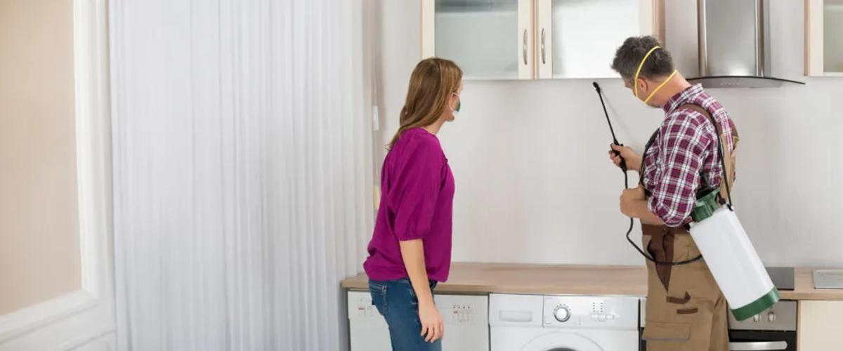 Understanding Conventional Bed Bug Treatment