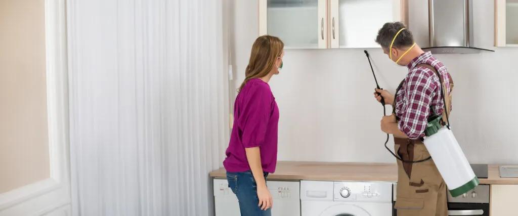 Understanding Conventional Bed Bug Treatment