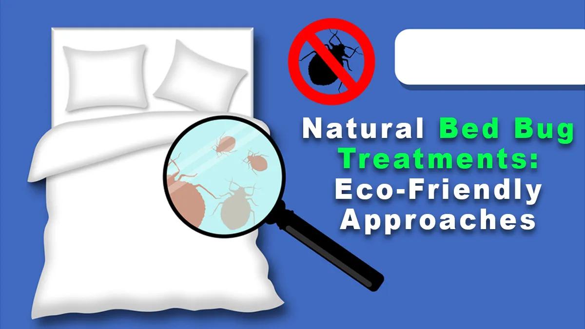 Natural Bed Bug Treatments- Eco-Friendly Approaches