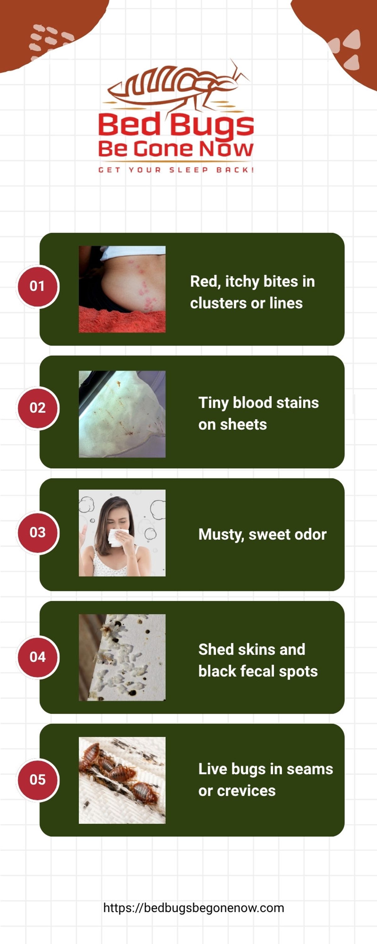 How to Tell If YouHave Bed Bugsinfographics (Body)