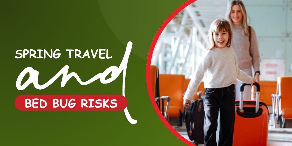 Spring Travel and Bed Bug Risks