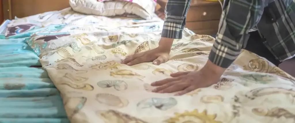 The Future of Bed Bug Eradication