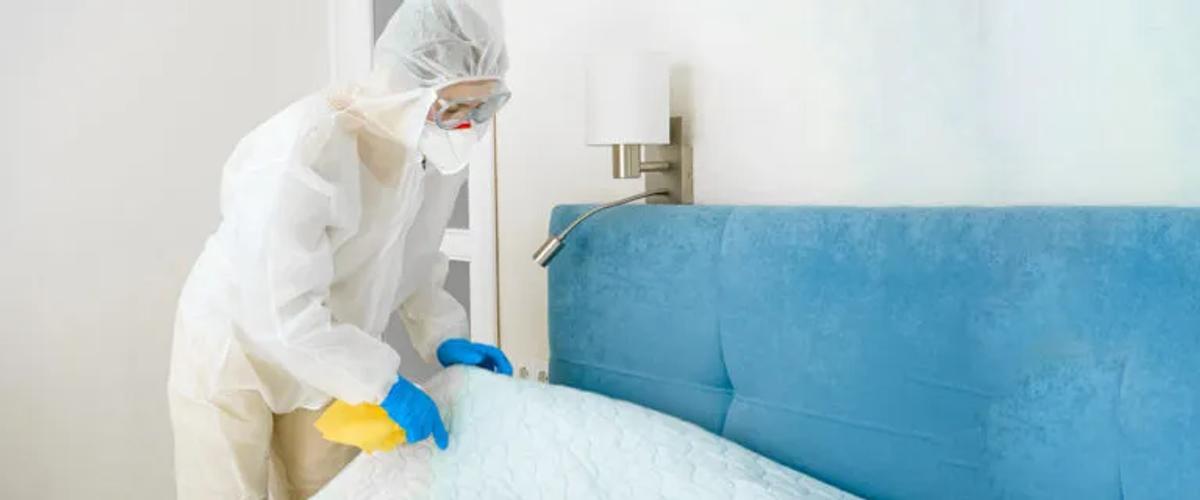 The Science Behind Heat Extermination