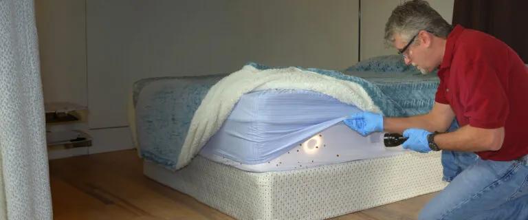Choosing a Qualified Thermal Bed Bug Removal Provider