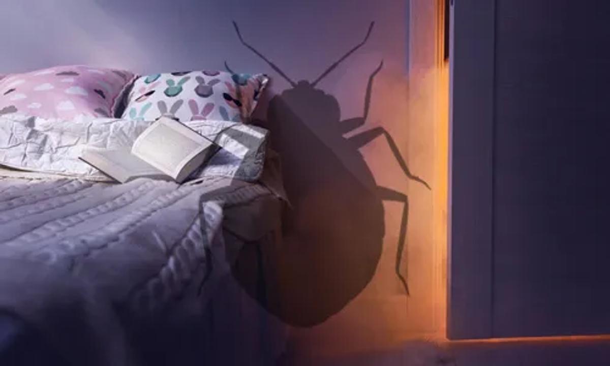 Is Bed Bug Heat Treatment Safe?