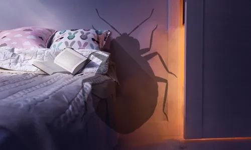 Is Bed Bug Heat Treatment Safe?