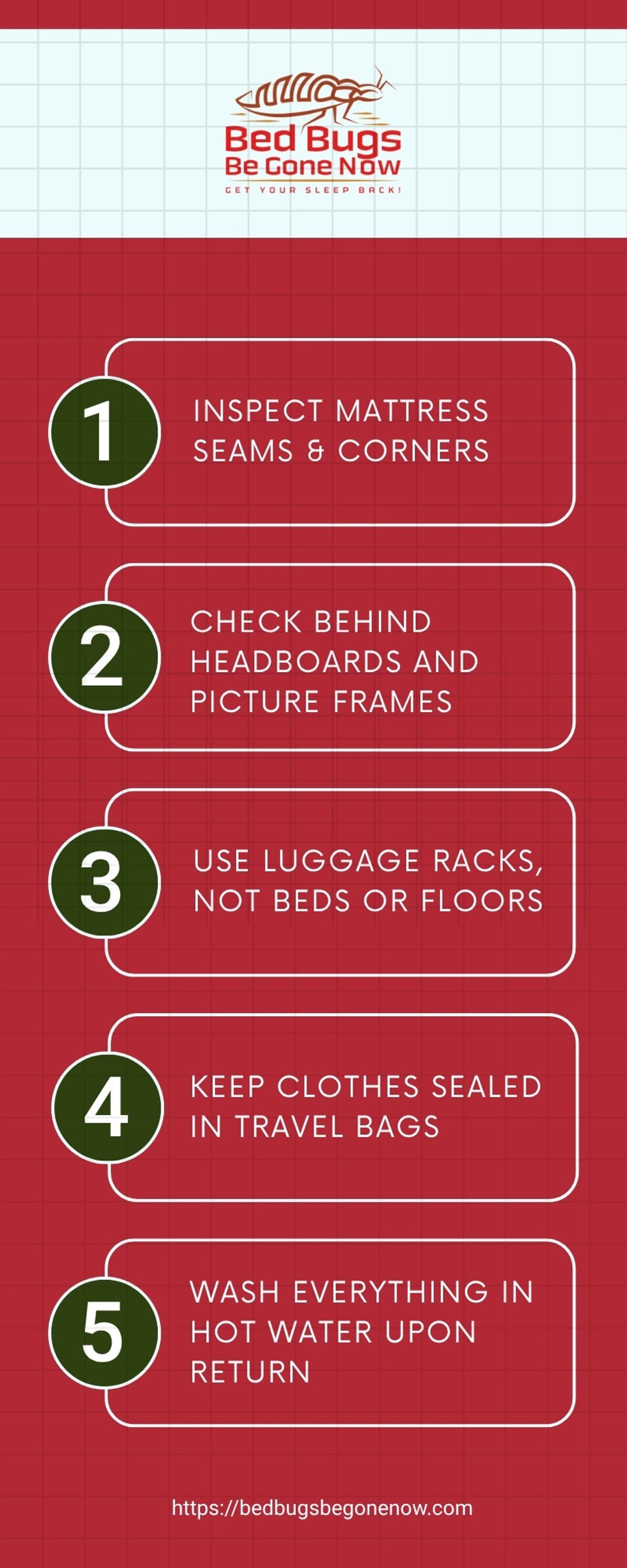 Why Bed Bugs Love Hotels—And How to Stay Safe(Body)