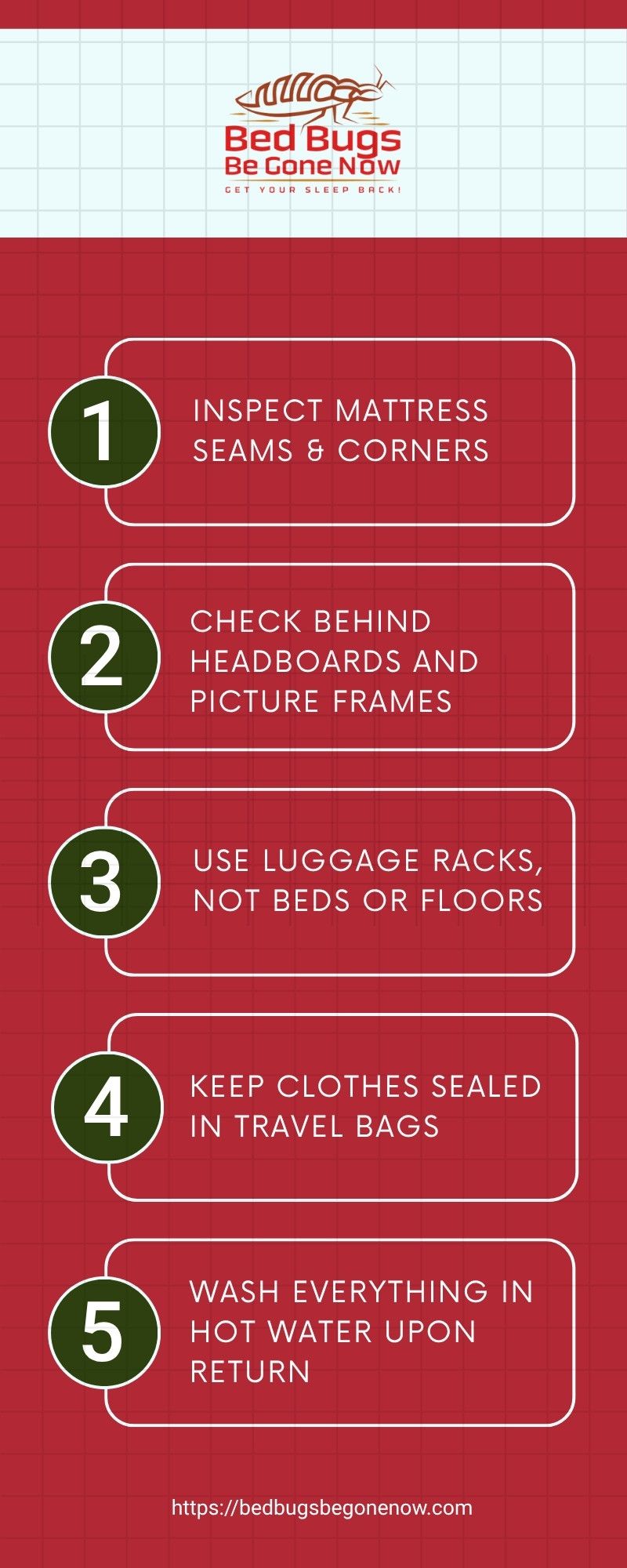 Why Bed Bugs Love Hotels—And How to Stay Safe(Body)