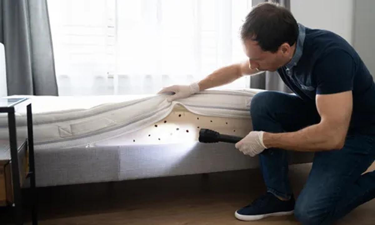 What is Bed Bug Heat Treatment?