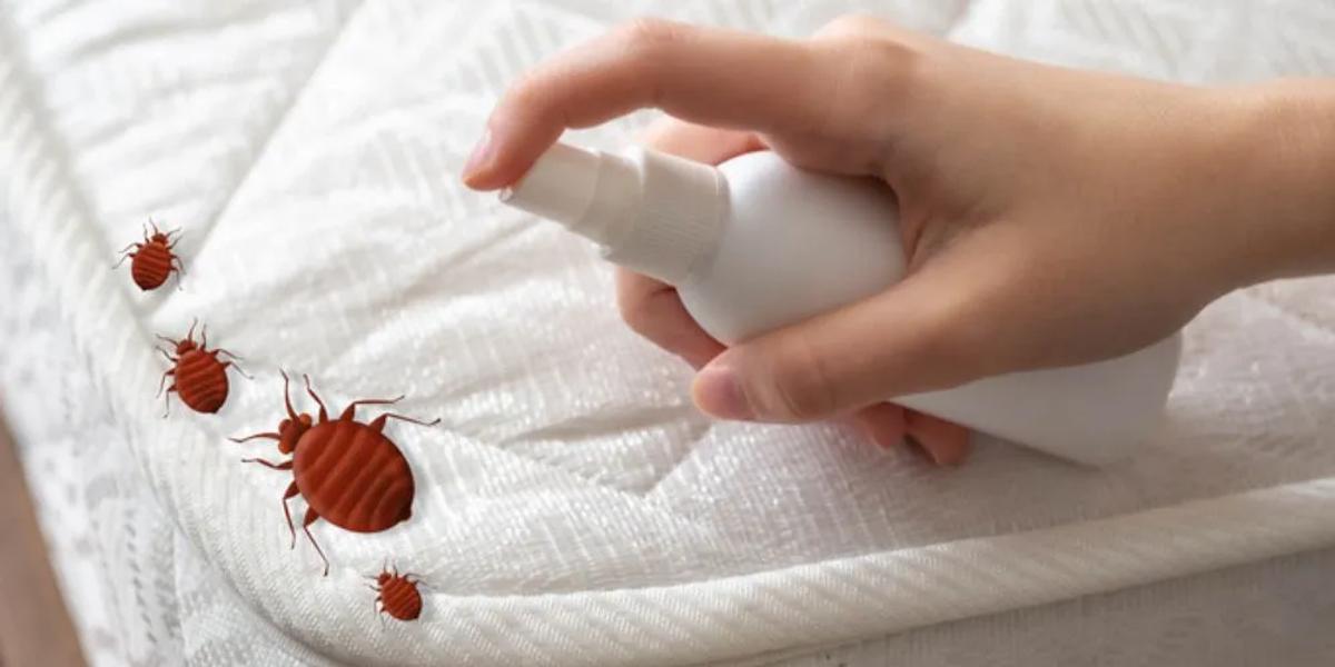 Choosing the Right Treatment Method
