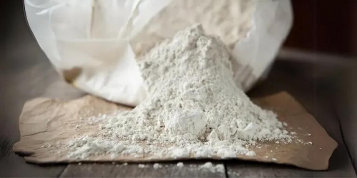 Diatomaceous Earth
