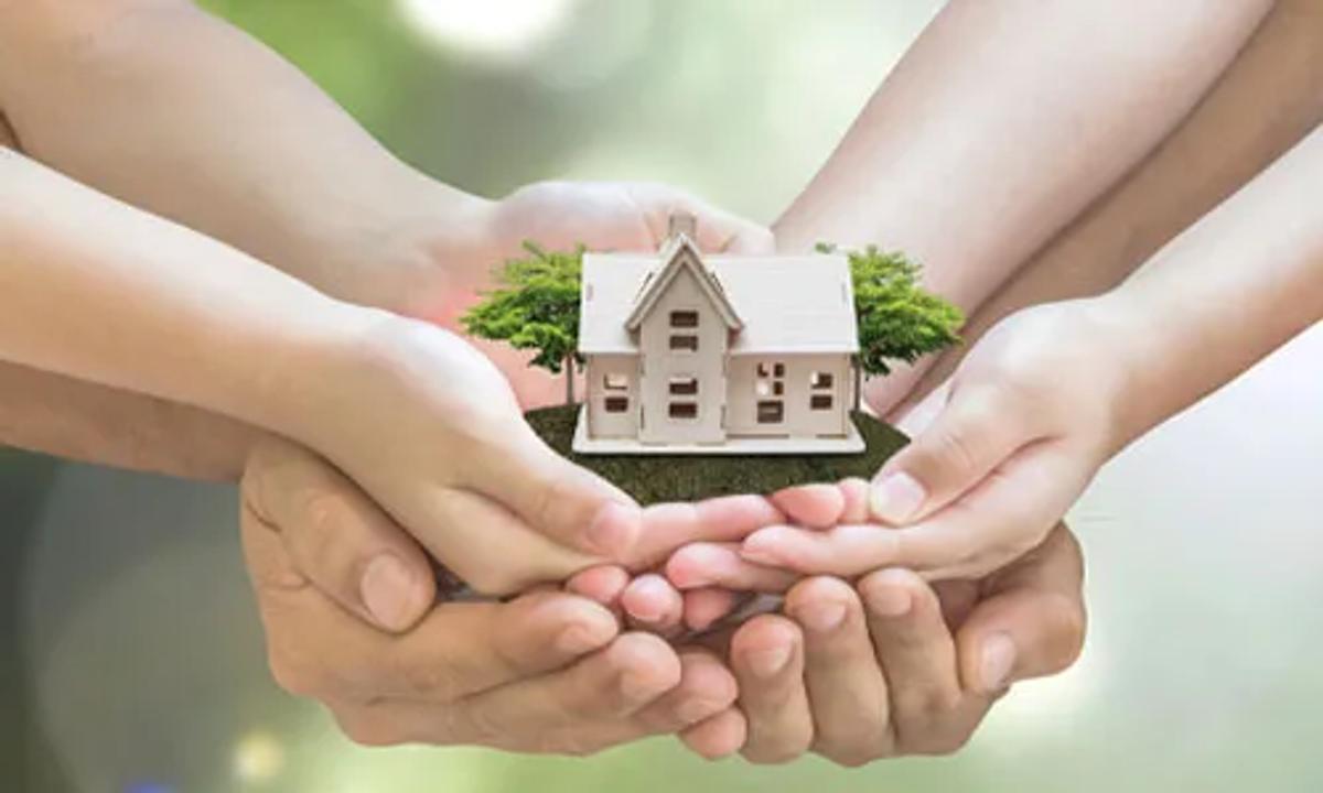 Safety and Environmental Considerations
