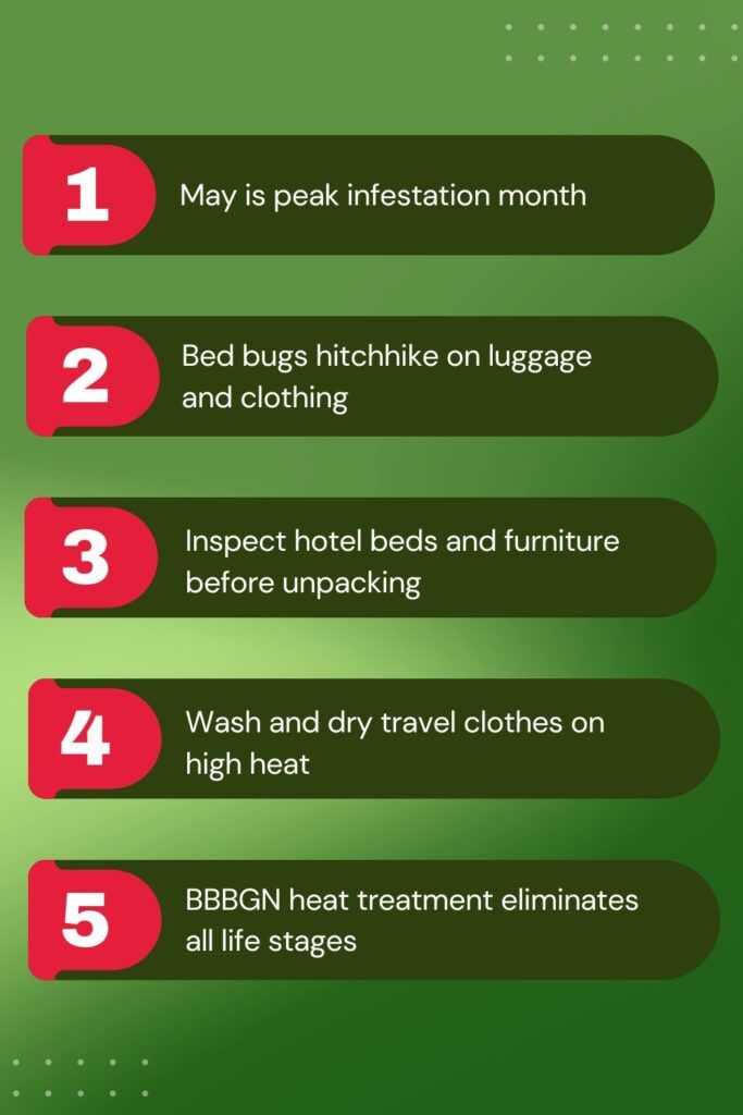 Spring Travel and Bed Bug Risks - Infographics