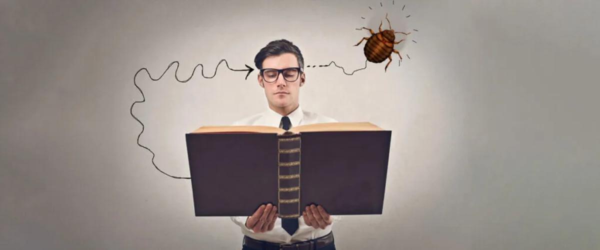Understanding Bed Bugs