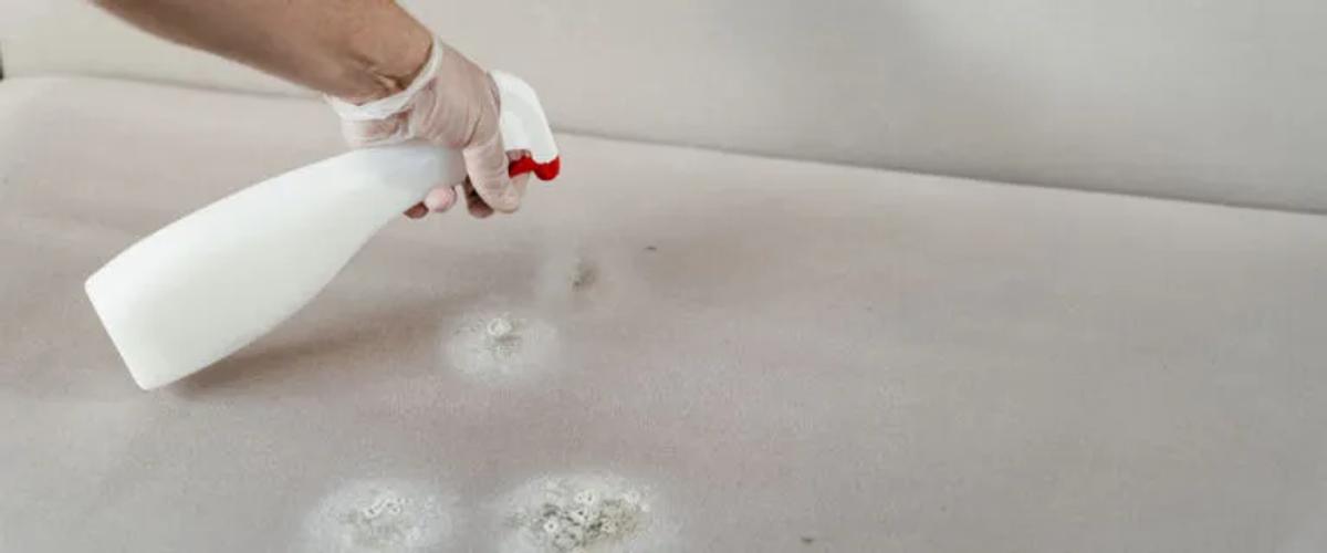 Comparative Analysis- Aprehend vs. Other Bed Bug Treatments