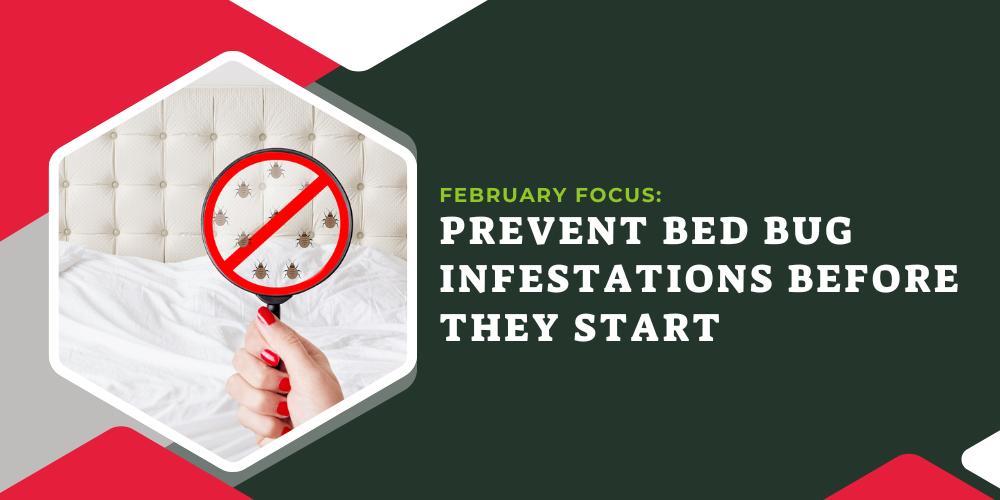 February-Focus-Prevent-Bed-Bug-Infestations-Before-They-Start-Title