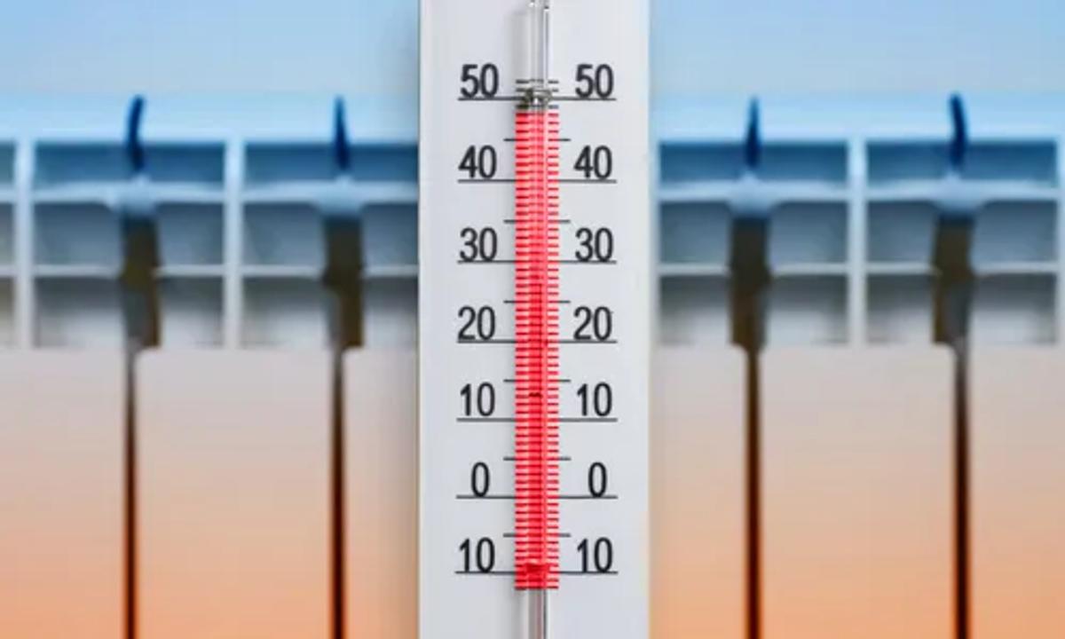 How Bed Bug Heat Treatment Works