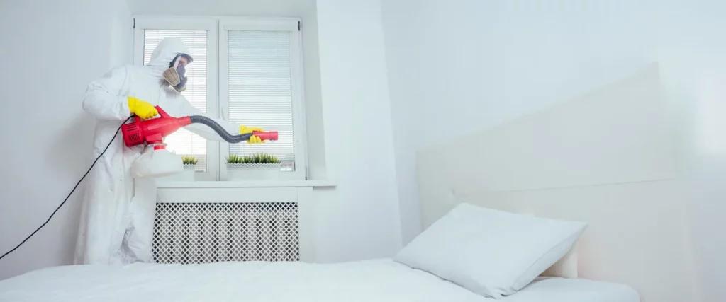 Professional Bed Bug Treatment Services