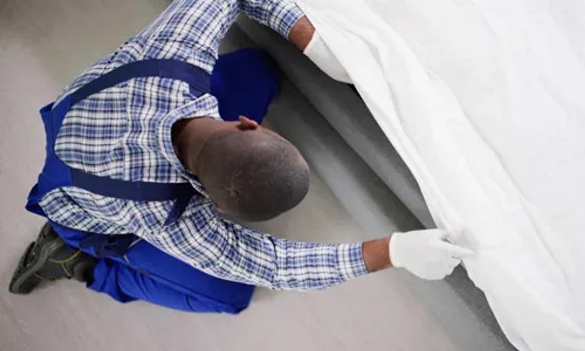 Cons of Conventional Bed Bug Treatment Methods