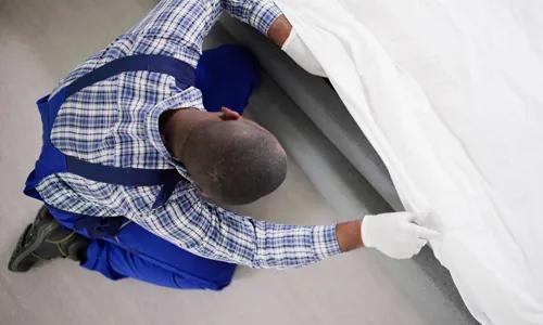 Cons of Conventional Bed Bug Treatment Methods