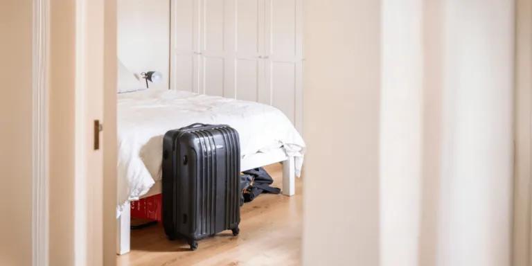 Bed Bug Myths That Could Be Making Your Infestation Worse