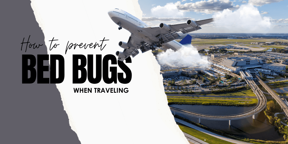 Prevent Bed Bugs