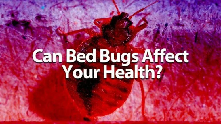 Can-Bed-Bugs-Affect-Your-Health