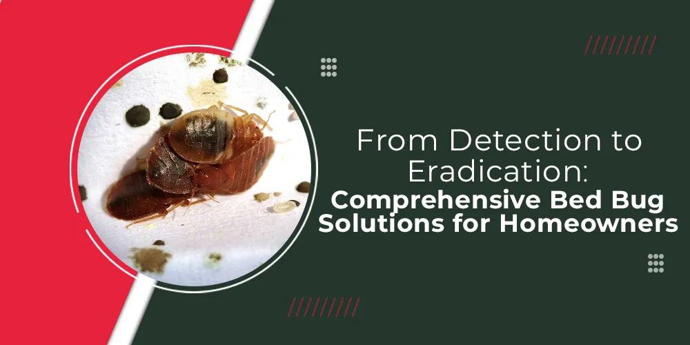 From Detection to Eradication- Comprehensive Bed Bug Solutions for Homeowners
