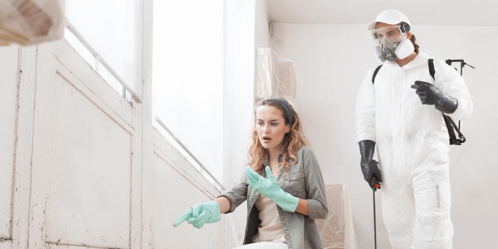 6-Professional-vs.-DIY-Bed-Bug-Treatments