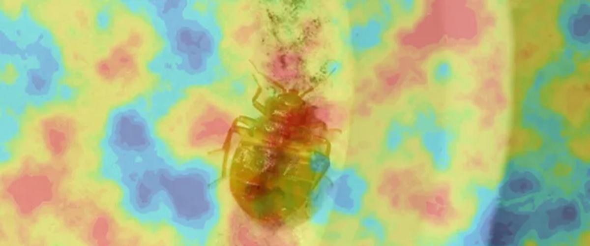 Warm Farewell- Thermal Bug Busting
