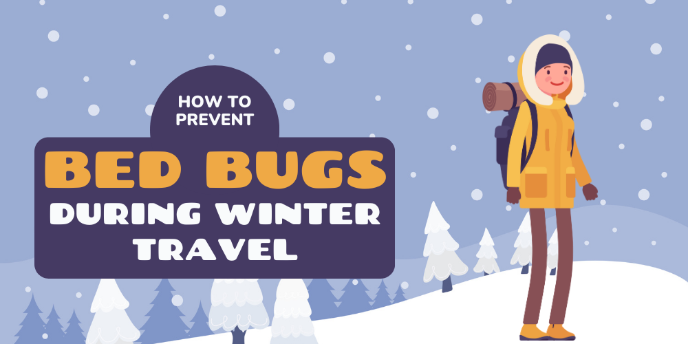 How to Prevent Bed Bugs During Winter Travel