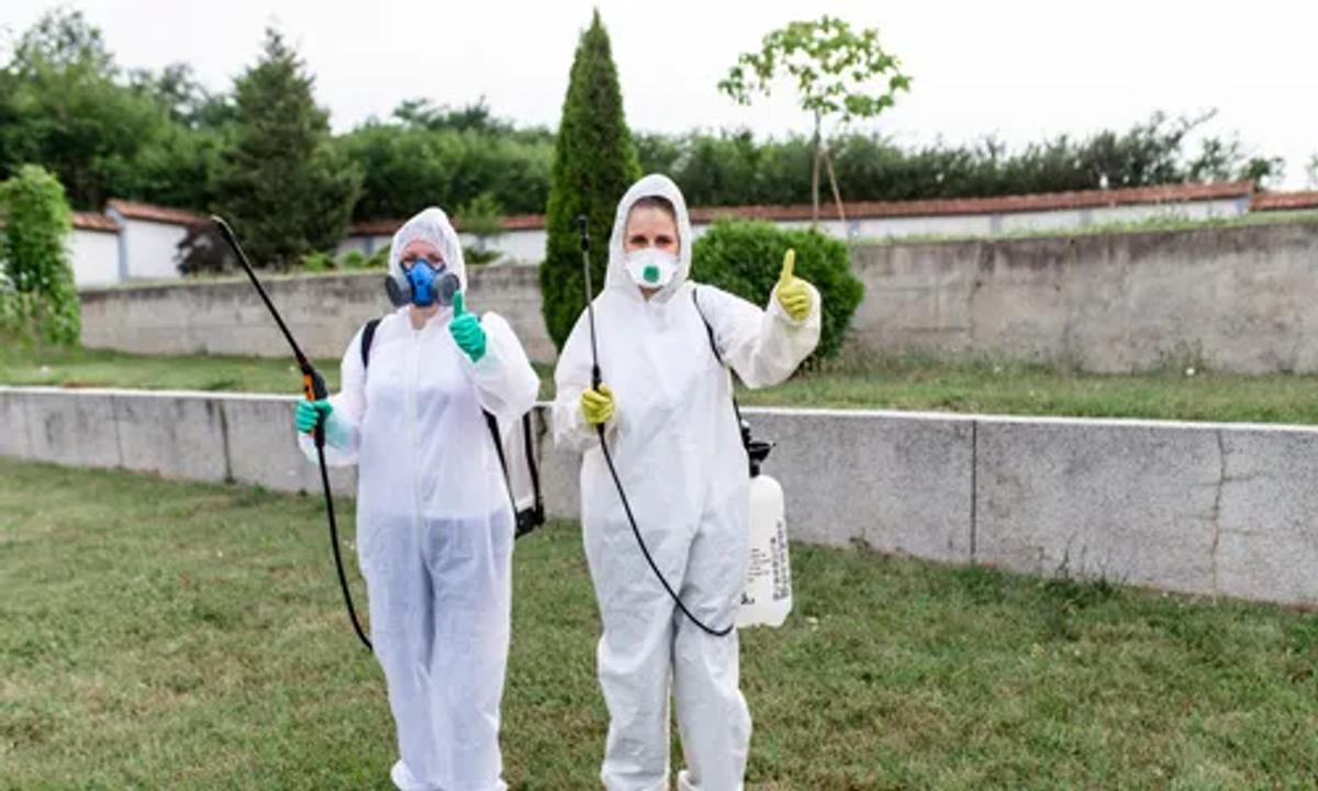 Professional Exterminators Using Eco-friendly Methods