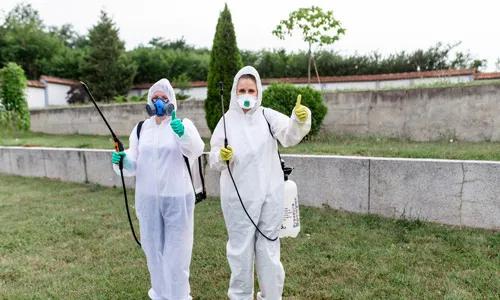 Professional Exterminators Using Eco-friendly Methods