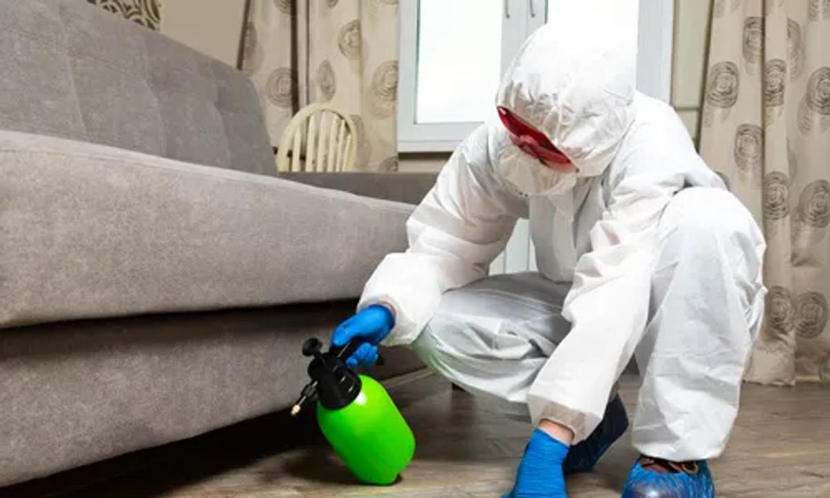 Health Risks of Conventional Bed Bug Treatment Methods