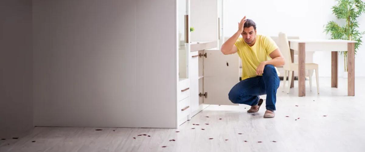 The Pest Problem