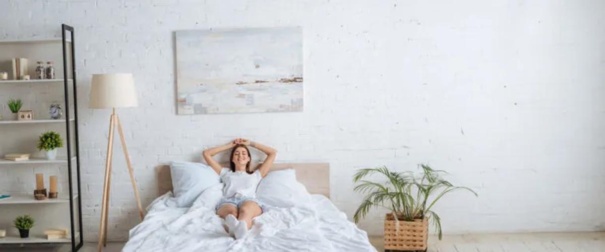 Post-Extermination- Ensuring a Bed Bug-Free Environment