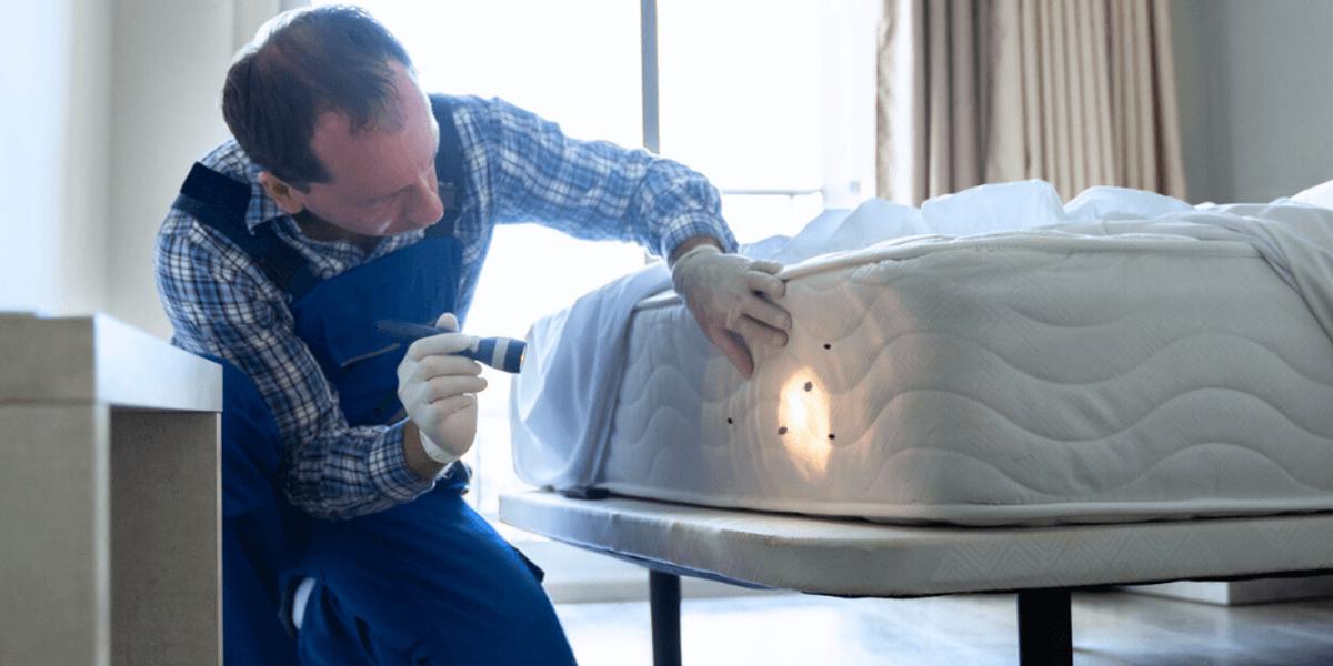 7-Long-Term-Prevention-Strategies-for-a-Bed-Bug-Free-Home