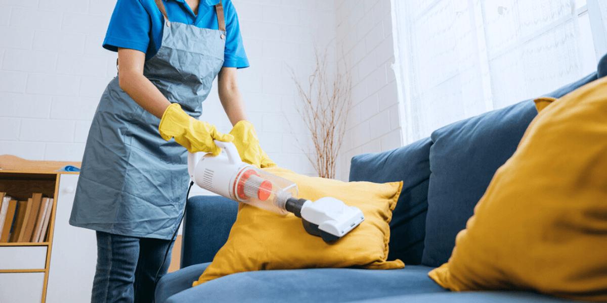 5-Immediate-Steps-to-Take-if-You-Suspect-an-Infestation