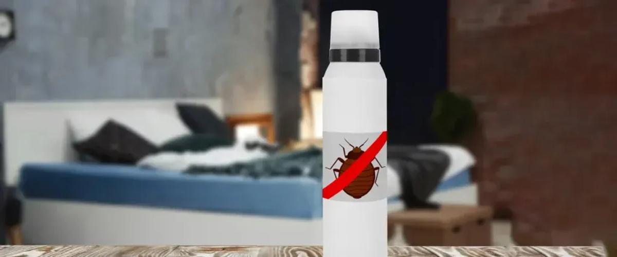 Conventional Treatment for Bed Bugs