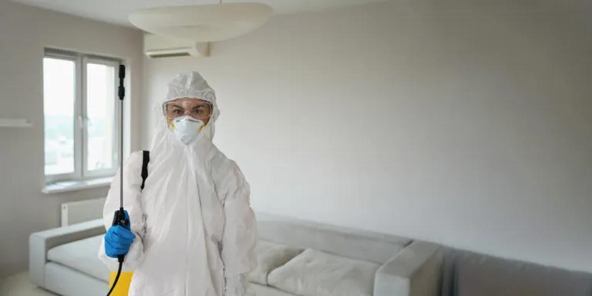 Choosing a Professional for Chemical Bed Bug Treatment