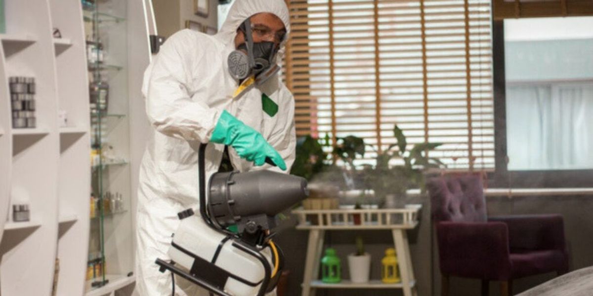 Bed bug professional using bed bug spray to eliminate bed bugs