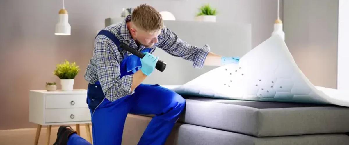 What is the Conventional Treatment for Bed Bugs?